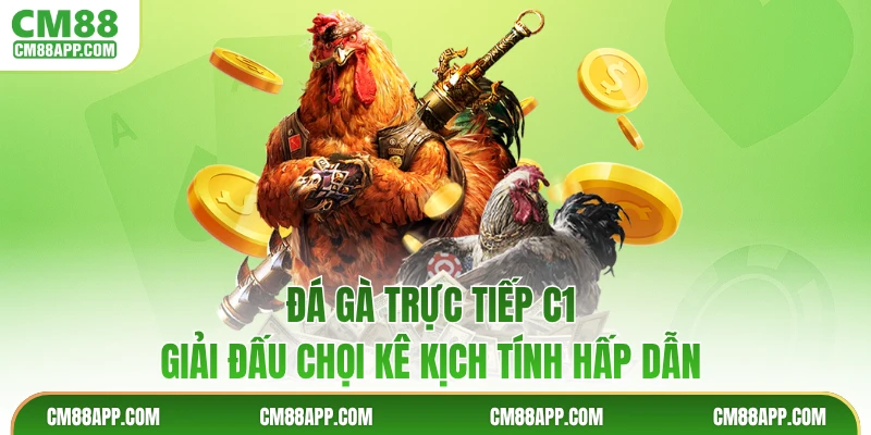 Đá Gà Trực Tiếp C1 - Giải Đấu Chọi Kê Kịch Tính Hấp Dẫn