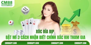 Xóc Đĩa Bịp - Bật Mí 3 Cách Nhận Biết Chính Xác Khi Tham Gia
